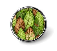 Broche ronde en émail vert nervure de feuille, accessoire de mode et de décoration pour homme/femme. Idéale pour décorer un c