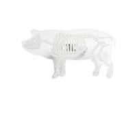 Broche squelette animal acrylique transparente souris lapin pingouin oiseau cochon broche de chat pour sac vêtements insigne bijoux, cochon respectueux de l'environnement et pratiqueTraitement très at