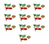 Broche symbole des Lions nationaux de l'Iran en acier inoxydable vintage Accessoire souvenir de l'Iran pour homme et femme Badge drapeau permanent en métal, round two, Comme décrit