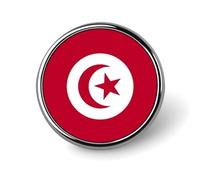 Broche Tendance Représentant Le Drapeau De La République De Tunisie Pour Femme Et Homme Accessoire Fantaisie Idéal Pour Un Sac Un Vêtement Ou Un Accessoire De Mode