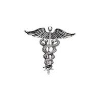 Broche vintage en forme d'aile d'ange - Épingles à col en forme de serpent - Pour costume de collier - Accessoires de vêtements, Acier allié