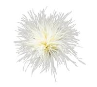 Broches de corsage en plumes, broches d'autruche, épingles à revers, accessoires bijoux Pour Anniversaire, Mariage(Color-15)