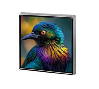 Broches et épingles carrées légères avec plumes et oiseaux aux couleurs vives et légères pour vêtements, châle, chapeau