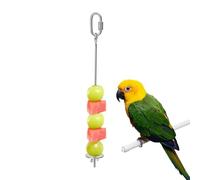 Brochette de fruits pour oiseaux | Pinsons en acier inoxydable | Brochette de friandises pour oiseaux, cage ara, perruche, calopsitte, conure, pinson, inséparable, cacatoès