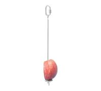 Brochette de mangeoire à oiseaux en acier inoxydable - Porte-collation de fruits et légumes pour oiseaux en cage | Outil d'alimentation pratique pour perroquets, perruches, calopsittes, perruches, pin