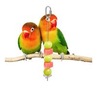 Brochette De Traitement Pour | Alimentation En Acier Inoxydable Pour Légumes,Brochette De Snack - Pour Cage, Ara, Cacatoa, Perruche, Inséparable, Fringue, Petits Animaux