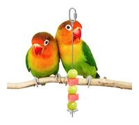 Brochette pour Nourriture d'Oiseaux | Distributeur de Bâtonnets de Légumes en Inoxydable pour Becs-croisés | Brochette pour Friandises d'Oiseaux - Pour Cage, Ara, Cacatoès, Conure, Calopsitte, Perruch