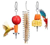 Brochettes à oiseaux | Mangeoire pour perroquet | Dispositif d'alimentation pour cage à oiseaux | BiXrd Brochettes de fruits pour perroquet | Accessoires de cage en acier inoxydable, fourchette
