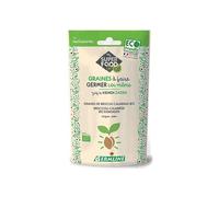 Brocoli calabrais - Graines à germer bio - 100g
