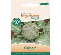 Brocoli - Calinaro