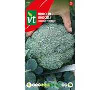 Brocoli Marathon F1 hybride Graines - Sélection de qualité produisant des pousses de qualité