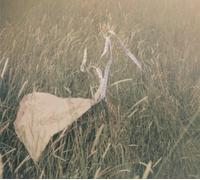 Broderick, Peter - Blank Grey Canvas Sky [Import]