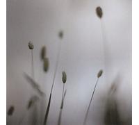 Broderick, Peter - Float [Import]