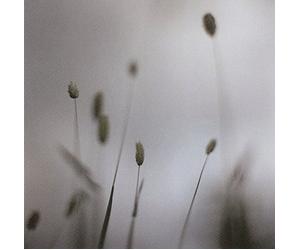 Broderick, Peter - Float [Import]