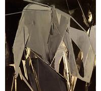 Broderick, Peter - Peter Broderick + Gabriel Saloman