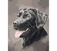 Broderie Diamant 5D Diamonds Painting Kit Complet Chien Labrador noir Mosaïque au Point de Croix Canevas,Strass,Peinture Murale pour Adultes Debutant Décoration Murale à la Maison
