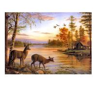 Broderie Diamant - Animaux - Coucher du Soleil - 30x40cm - Kit Complet