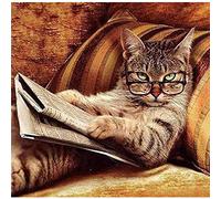 Broderie Diamant Chat Avec Des Lunettes Lit Le Journal,Diamond Painting Strass Broderie Diamant Kit Complet à Broder au Point de Croix Arts Craft pour Home Décoration Murale 30x40cm
