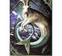 broderie diamant kit complet 5d enfant adulte debutant Capricorne Plein Forage Cristal Mosaïque Kit DIY Broderie Décoration Murale Ménage Artisanat cadeau(40 * 50cm)