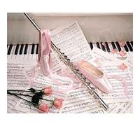 Broderie Diamant Kit Complet, Point de Croix Canevas Diamant Peinture Numéro Adulte Enfants Tableau Perle Diamant a Coller Diamond Painting pour la décoration chambre salon, Instrument Musique 40x50cm