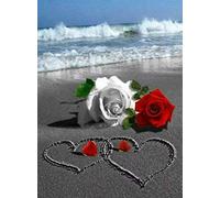 Broderie Diamant Kit Complet Rose Rouge Rose Blanche 5D Diamond Painting Canevas Strass Peinture Point de Croix Art DIY Décoration Murale pour Maison Arts 30 x 40 cm(Sans Cadre)