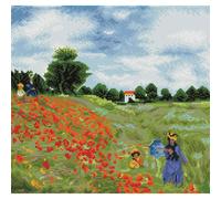 Broderie Diamant Kit Expert Champ De Coquelicot Par Claude Monet