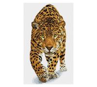 Broderie Diamant Kit Squares Intermédiaire Prince Jaguar