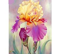 Broderie Diamant Plein Bel Iris Diamond Painting,Diamond Painting Strass Idéal pour La Décoration À La Maison/Salon/Chambre/Bureau,Broderie Diamant Kit Complet 30 X 40 Cm