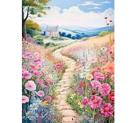 Broderie Point De Croix Kit Complet Point De Croix Imprimé Diy 11CT Sentier Des Fleurs Sauvages Dans La Ville Des Contes De FéEs 1 Canevas Kit Complet Adulte DebutantLoisirs CréAtifs Adultes 40×50Cm