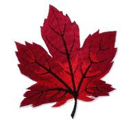 Broderie thermocollante Patch d'érable brodé à repasser, 10 pièces, Badge cousu sur feuille for vêtements en jean, sac dos, manteaux, casquette, autocollants, bricolage pour Bricolage(Color 9)