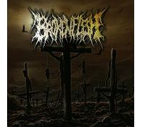 Broken Flesh - Broken Flesh