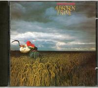 broken frame a