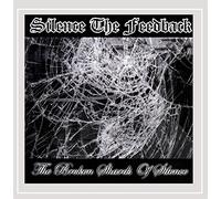 Broken Shards of Silence