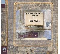 Broken Social Scene - Bee Hives