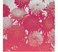 Broken Things [Vinyl]