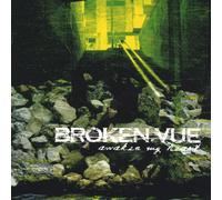 Broken. Vue - Awaken My Heart