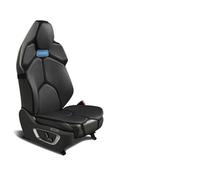 BROleo 1 Jeu Voiture Coussin de siège pour DS Spirit DS3 DS4 DS4S DS5 DS 5LS DS6 DS7, Toute la Saison Confortable et antidérapant Protection de siège,Black