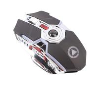 BROLEO Accessoires de Souris de Jeu Rvb sans Fil, Récepteur USB Silencieux, Souris de Jeu, Parfaites pour Une Action de Jeu Silencieuse (Recharge USB)