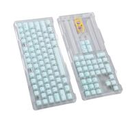 BROLEO Capuchons de Touches PBT, 113 Touches de Clavier Mécanique, Double Couche, Bricolage Professionnel pour Claviers Mécaniques (Menthe Verte)