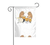 BROLEO Capybara jouant de la batterie impression quatre saisons drapeau jardin cour décoration 30,5 x 45,7 cm