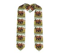 BROLEO Châle de remise de diplôme aplati imprimé ours marron marchant - Étole en satin pour cérémonie de remise de diplôme, cadeau pour fils, filles, amis et sœurs, coin pointu, Taille unique