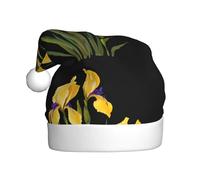 BROLEO Chapeau de Noël motif iris peinture à l'huile pour adulte pour hommes et femmes vêtements bandeau pour occasions festives