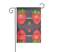 BROLEO Drapeau de jardin 4 saisons avec motif fraises - Décoration de cour - 30,5 x 45,7 cm