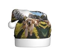 BROLEO Golden Retriever Puppies Bonnet de Noël imprimé pour adulte Accessoire de qualité doux, léger et moelleux