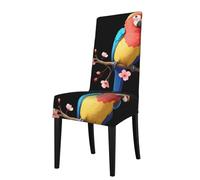 BROLEO Housse de protection pour chaise de salle à manger, perroquet sur branche de fleur de prunier imprimée, douce, confortable, nécessaire extensible pour la plupart des chaises sans accoudoirs