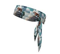 BROLEO Majestic Tiger Resting on a Rock with Cloudy Sky Prints Foulard de sport, absorbant la transpiration et respirant, bandeau de mouvement, foulard double face