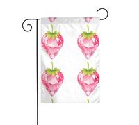 BROLEO Mât de drapeau de jardin en cristal rose avec impression fraise double face 30,5 x 45,7 cm