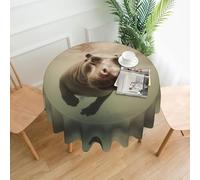 BROLEO Nappe circulaire 152,4 cm imprimée hippopotame imperméable et résistante aux taches, adaptée pour les restaurants