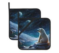 BROLEO Polar Bear Looking at The Stars Lot de 2 maniques isothermes carrées de 20,3 x 20,3 cm, épaisses et durables, anti-brûlure et isolation thermique