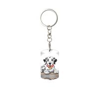BROLEO Porte-clés rectangulaire en métal solide pour homme et femme - Motif dalmatien de dessin animé